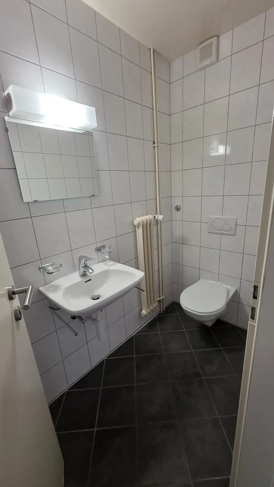 Wohnung 4.5 Zimmer mit Balkon