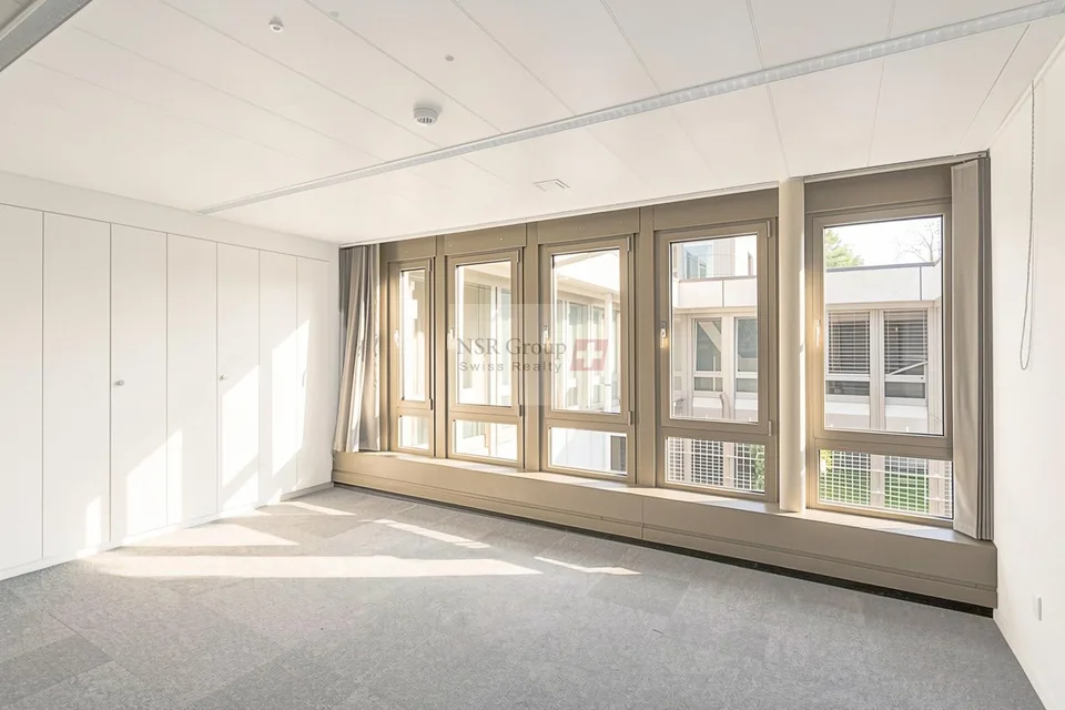 Arcade commerciale de 538 m² + 100 m² de dépôt - Janvier 2027