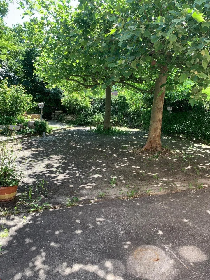 Commerciale/Ufficio/Ristorante - uso polivalente - disponibile immediatamente