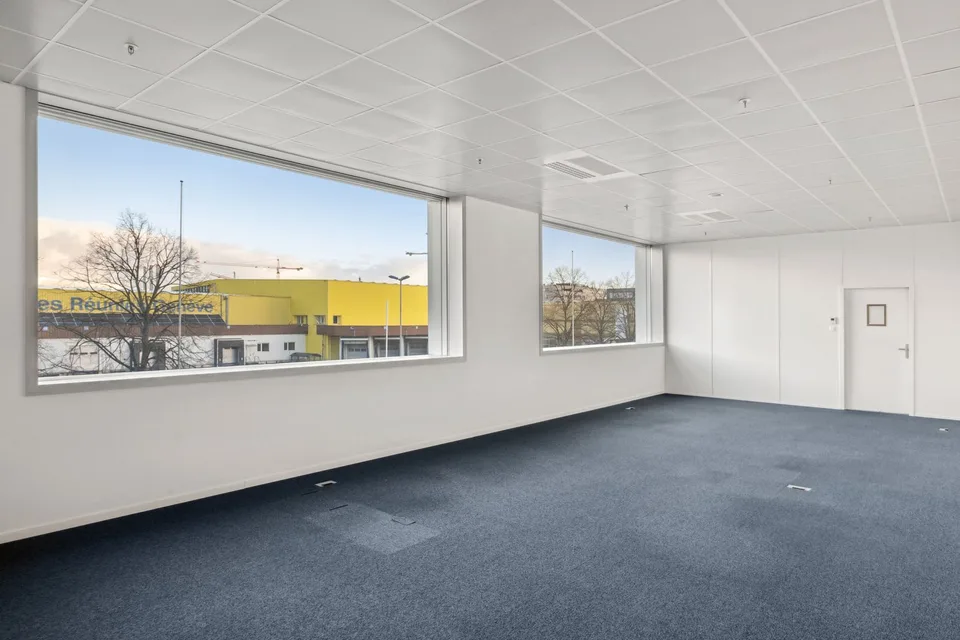 Superficie mista in affitto - Plan-les-Ouates - Da 381 m2 - Edificio moderno – foto 8 di 11
