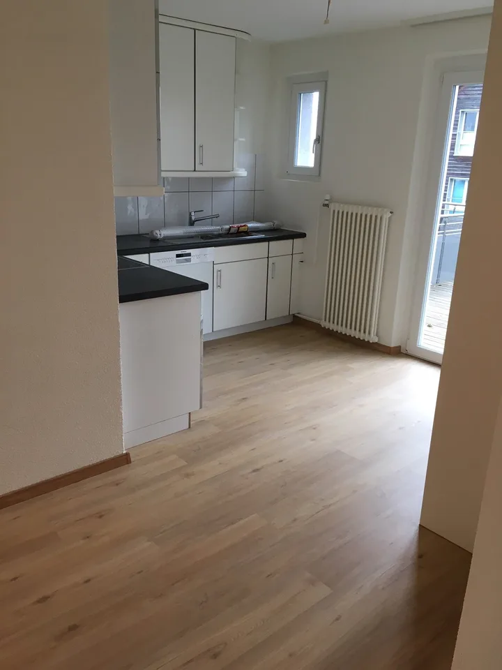 schöne und moderne 2.5 Zimmer Wohnung mit grosser Terrasse (30m2) und Seesicht