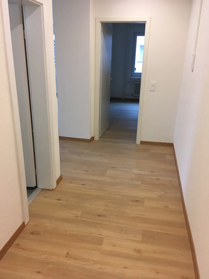 Appartamento bello e moderno di 2.5 locali con terrazza grande (30m2) e vista sul lago