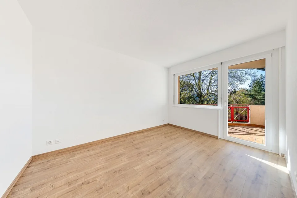 Appartement rénové de 5.5 pièces + studio indépendant