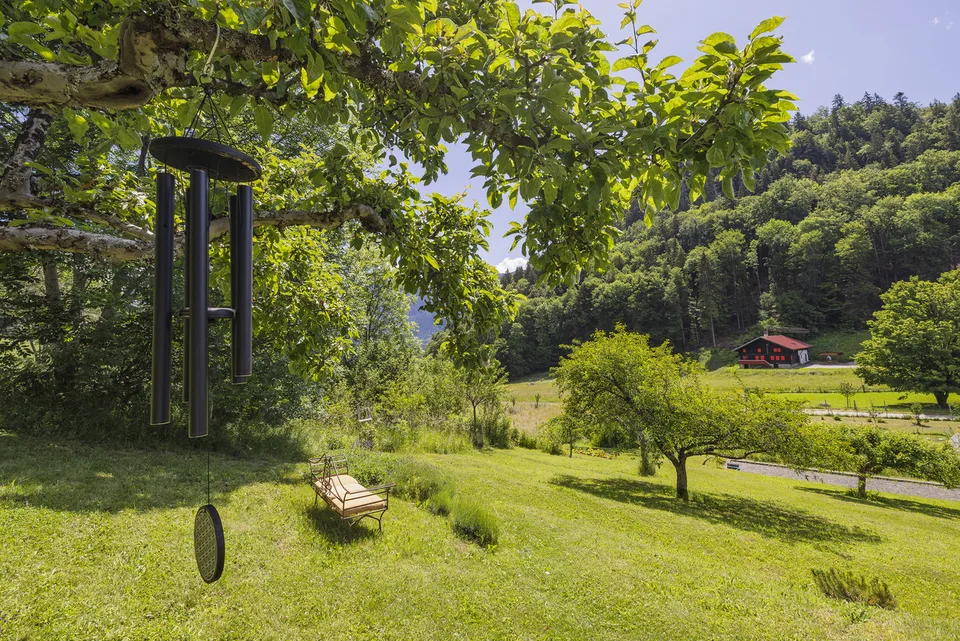 Your peaceful haven located in a charming hamlet close to Leysin!