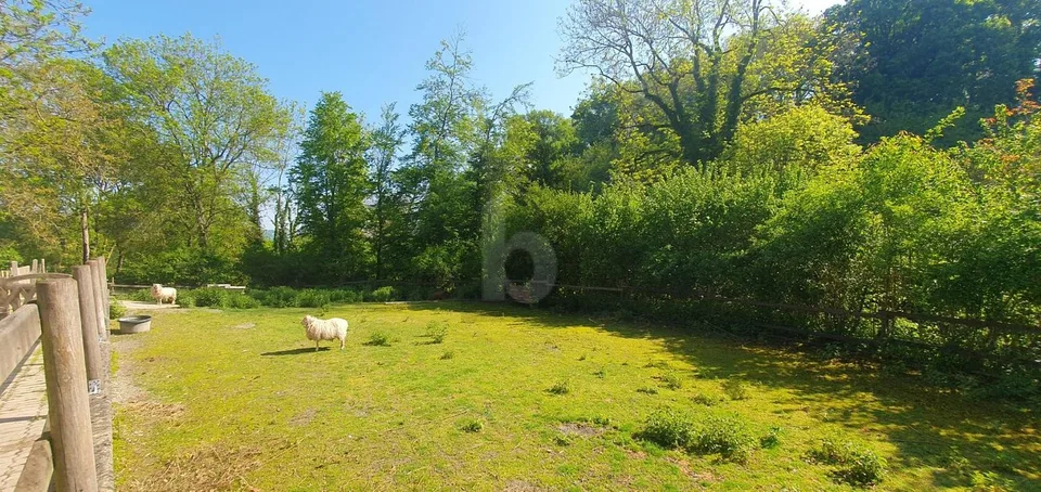 In a natural setting with stables!