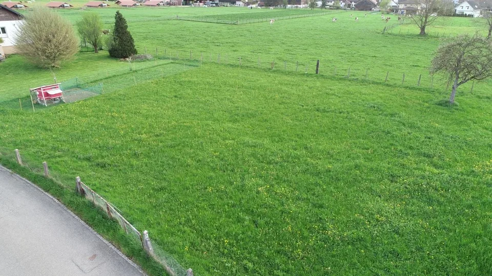 Prächtiges, flaches Grundstück zum Verkauf in einer ruhigen Lage nahe der Natur