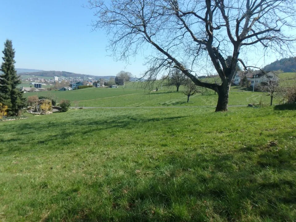 Terreno con vista panoramica
