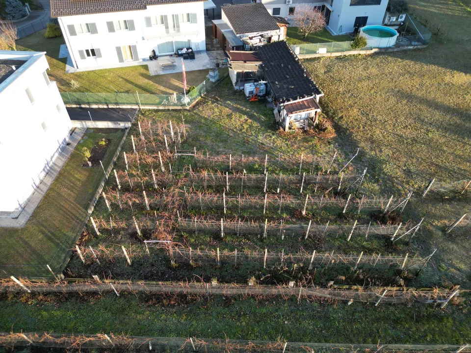 TERRENO EDIFICABILE A CASTEL SAN PIETRO CON PROGETTO APPROVATO – IL TUO SOGNO DI CASA MODERNA