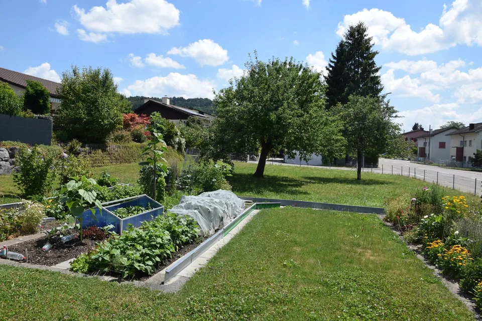 Attraktives Bauland in Guntershausen