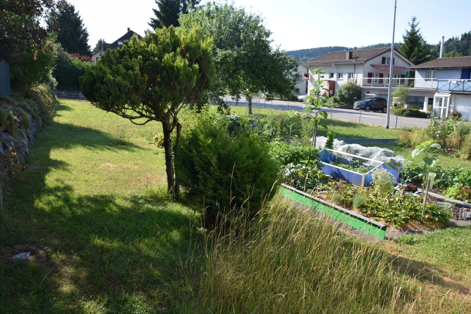 Attraktives Bauland in Guntershausen
