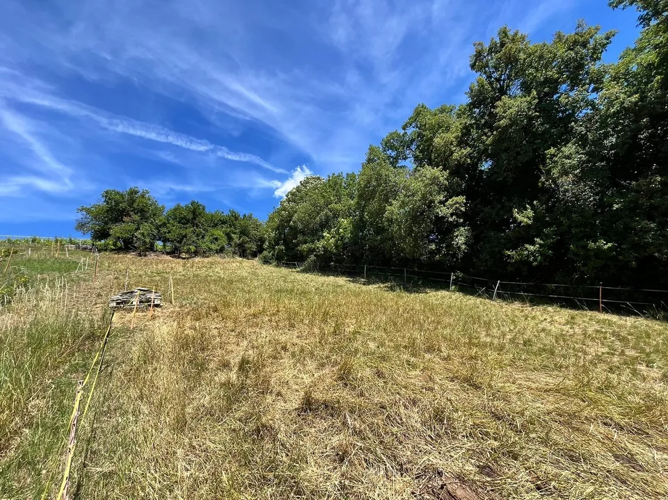 Terrain - 1'399 m2 - Signèse (Ayent) - réf. 10265559 - EXCLUSIVITE