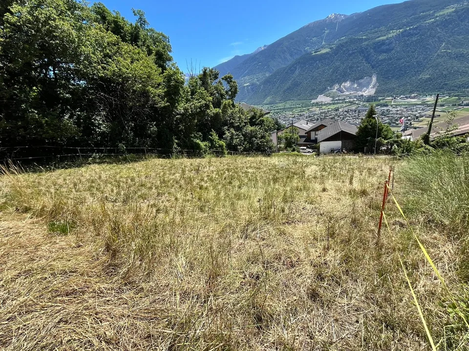 Terrain - 1'399 m2 - Signèse (Ayent) - réf. 10265559 - EXCLUSIVITE
