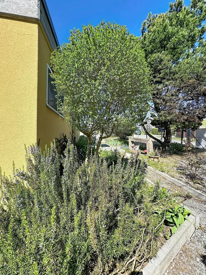 Villa jumelée de 5.5 pces Récemment rénovée A 2 pas de tout !