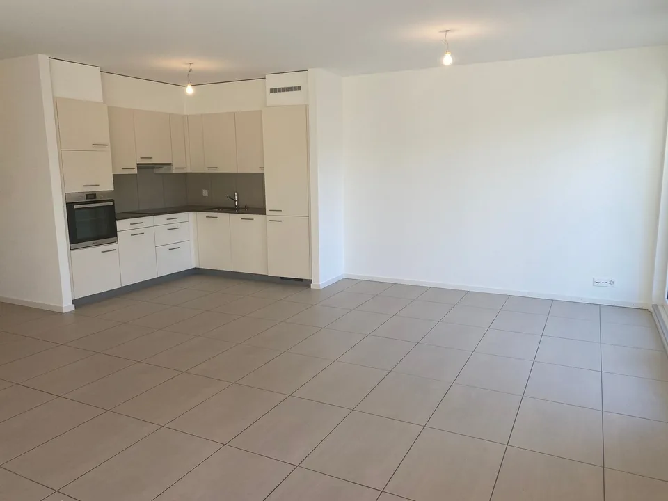 Ampio appartamento duplex di 5.5 locali con vista panoramica a Blonay