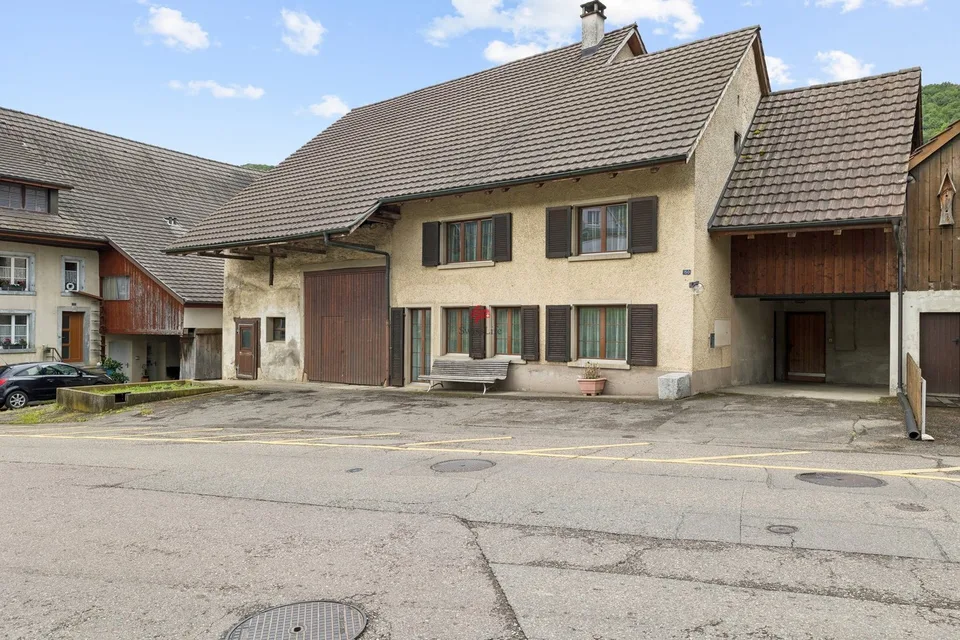 Wohnhaus mit grossem Ökonomiegebäude - Raum für Visionen