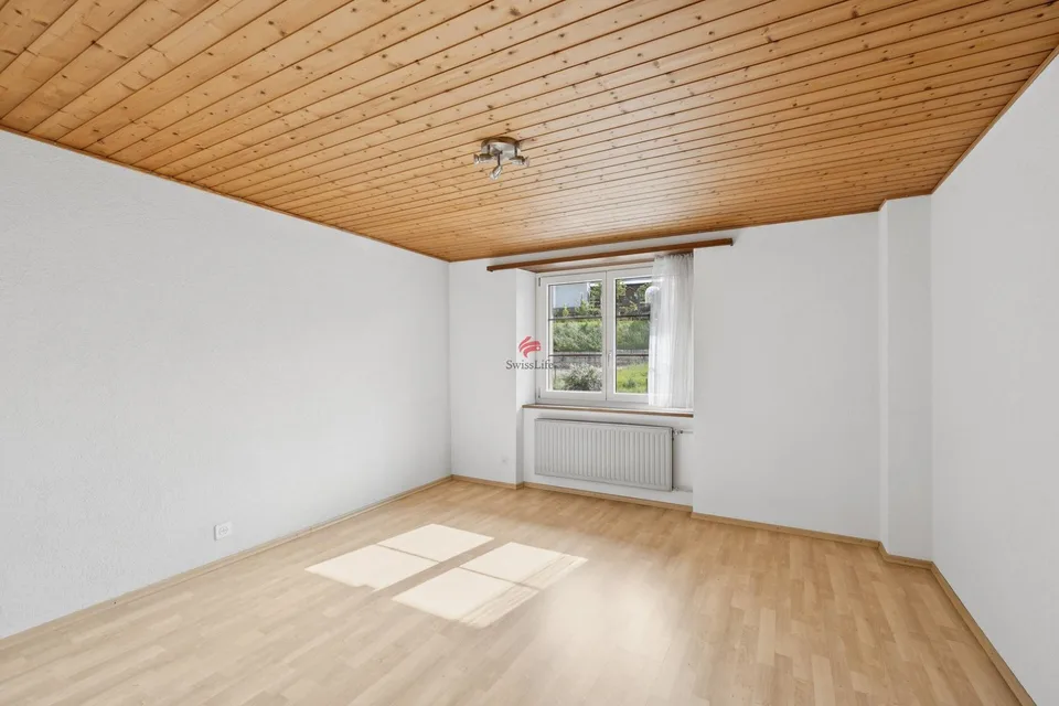 Wohnhaus mit grossem Ökonomiegebäude - Raum für Visionen