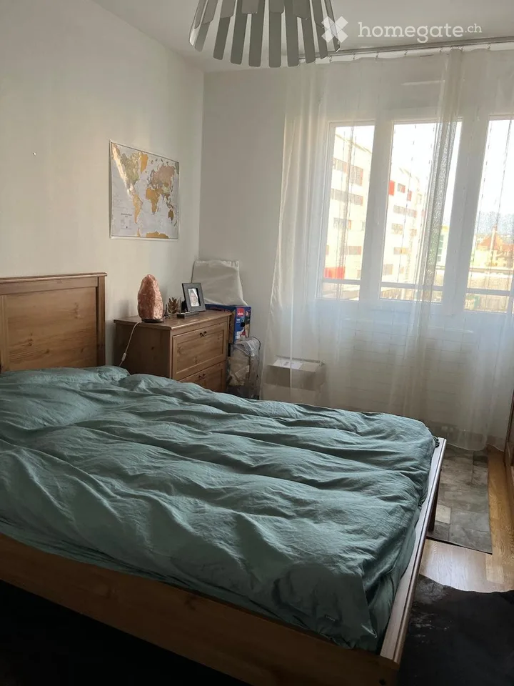 Appartamento moderno di 3 locali con vista sul Jet d'Eau a Ginevra
