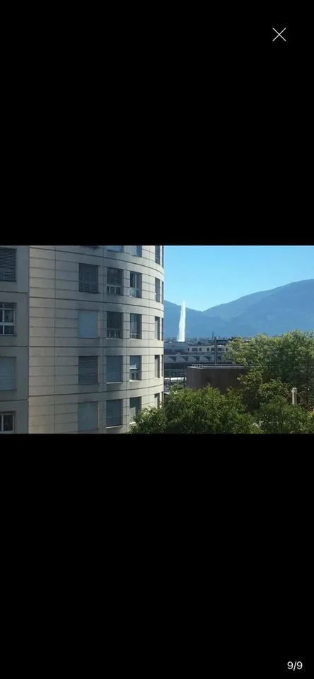 Modern 3-Room Apartment with View of Jet d'Eau in Geneva