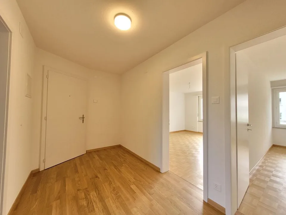Appartamento di 3 camere, 5° piano a destra