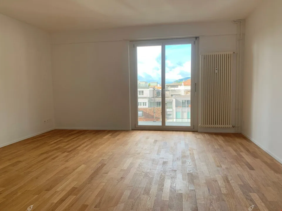 Ampio e luminoso appartamento di 3,5 locali