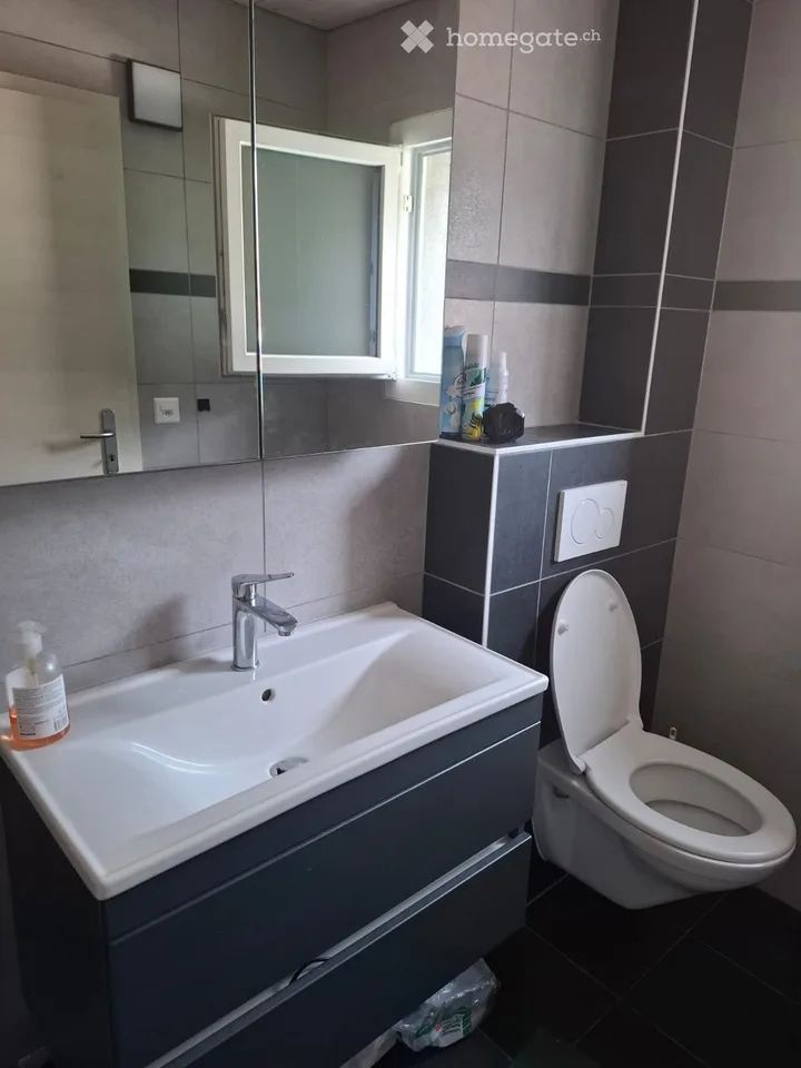 À remettre  Appartement-loft meublé et équipé à Saxon (VS)