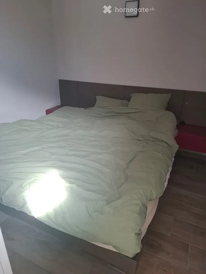 Zu vermitteln: Möbliertes und ausgestattetes Apartment-Loft in Saxon (VS)