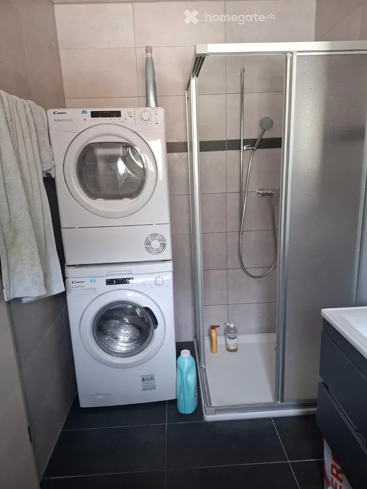 Zu vermitteln: Möbliertes und ausgestattetes Apartment-Loft in Saxon (VS)