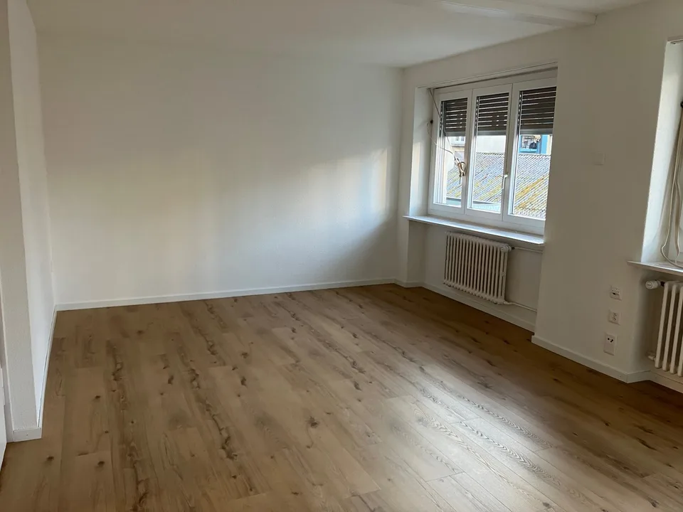 3.5 Zimmer Wohnung / Erstvermietung nach Komplettsanierung
