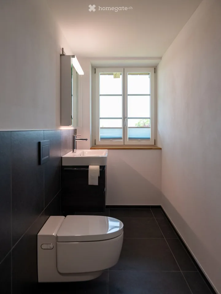 Neue moderne 2.5 Zi. Wohnung mit Charme in Bauernhaus im EG – Foto 7 von 11