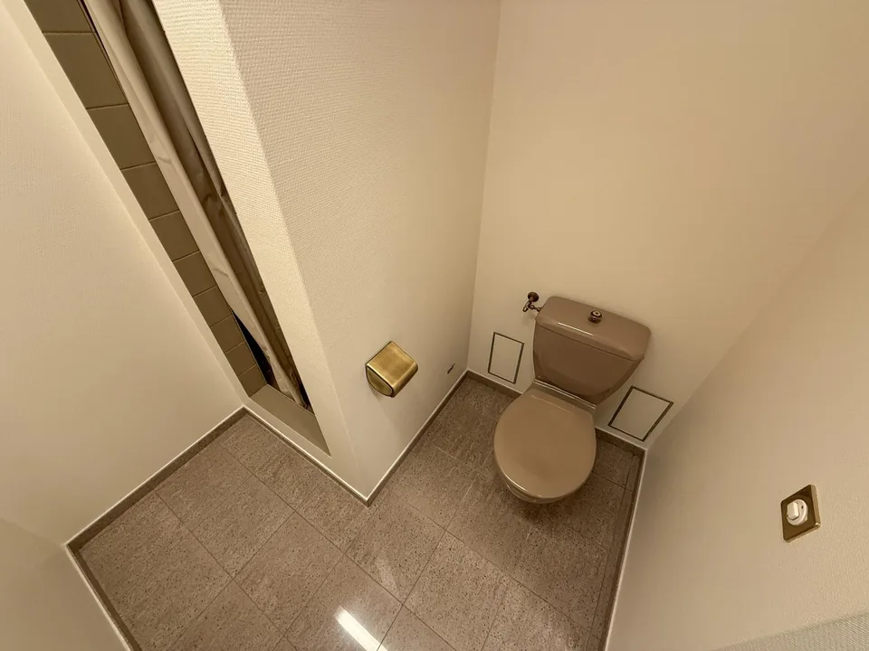 Objet commercial lumineux / salle de pratique au centre-ville (Claragraben) – photo 13 sur 13