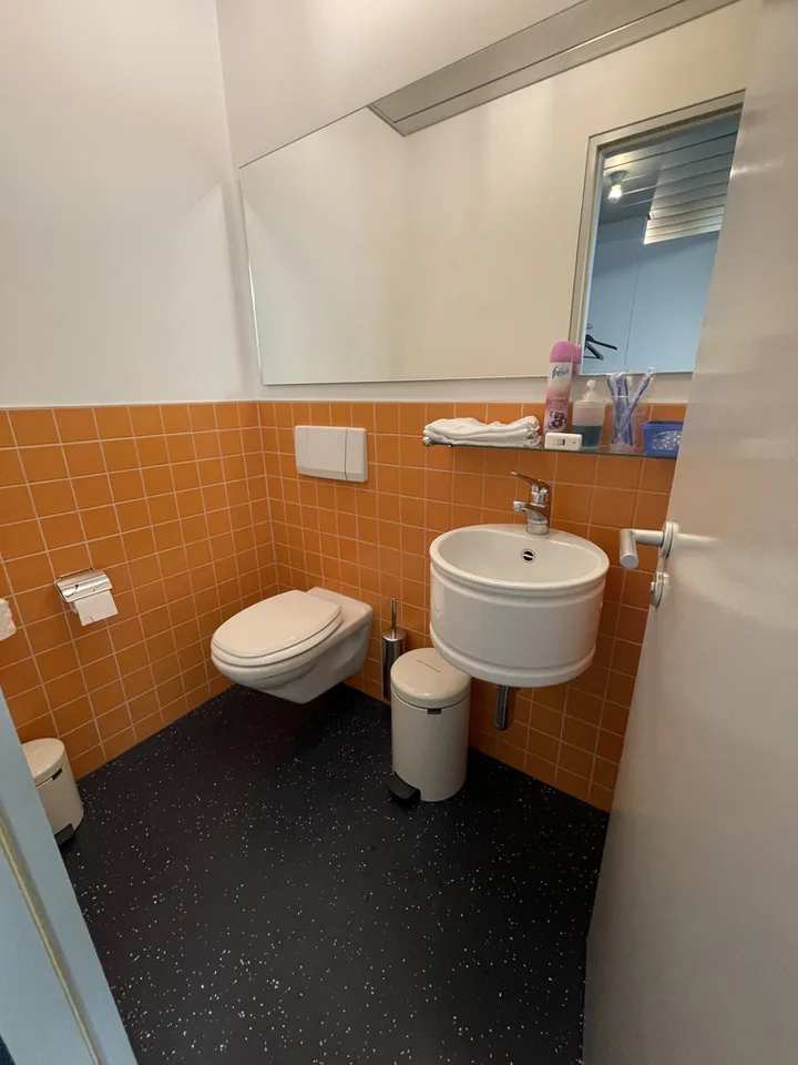 Gewerbefläche an bester Lage - vielseitig nutzbar & bestens erreichbar – Foto 10 von 10