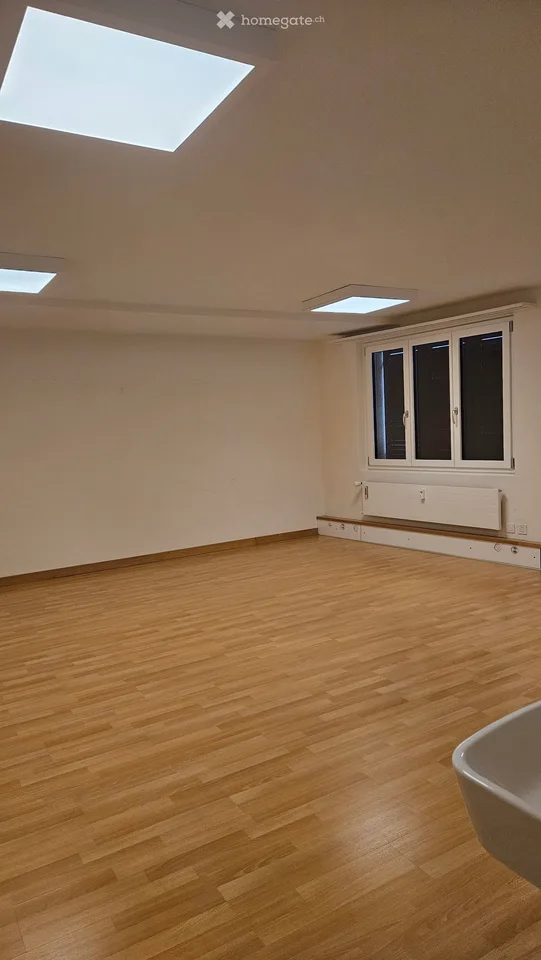 Unità commerciale temporanea di 2,5 locali in Seestrasse 155, Horgen
