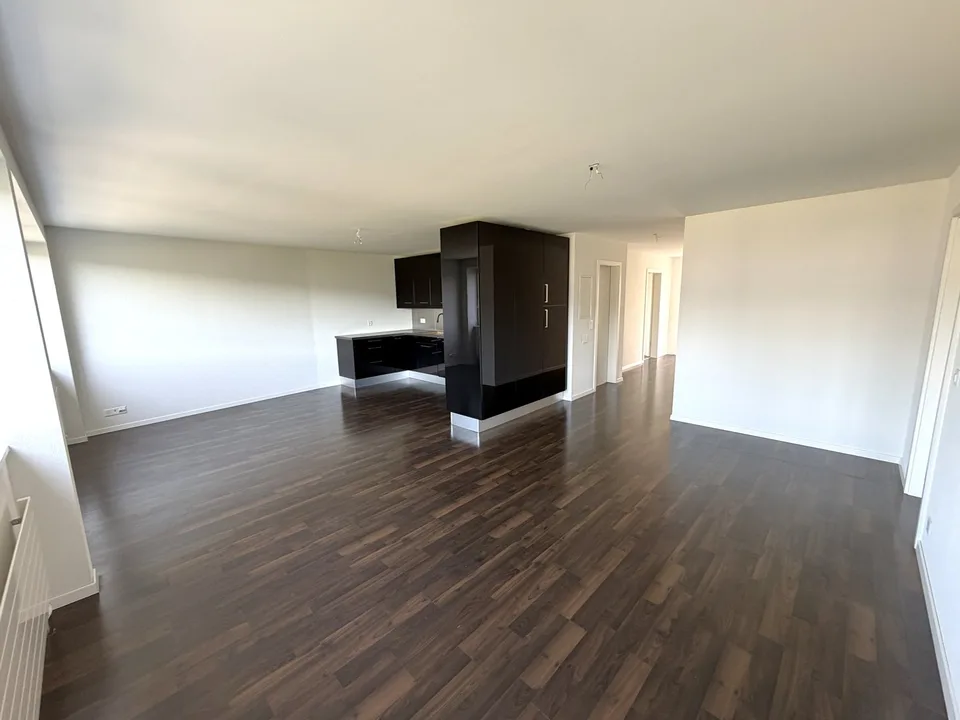 Helle 4.5-Zimmer-Wohnung mit Balkon, Lift und Aussicht in Olten
