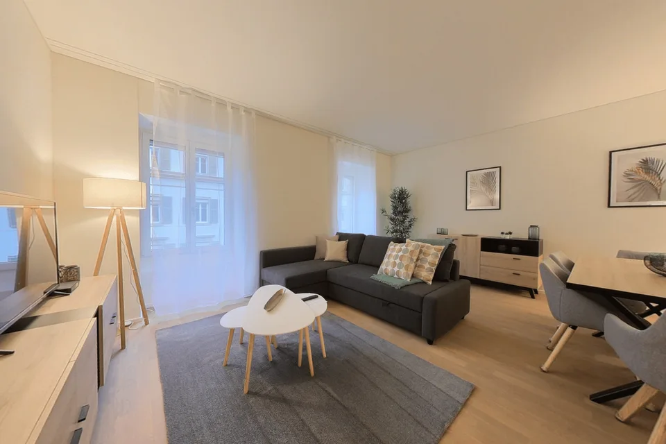 Brand new 1 bed apartment  -  Appartement neuf de 2.5 pièces
