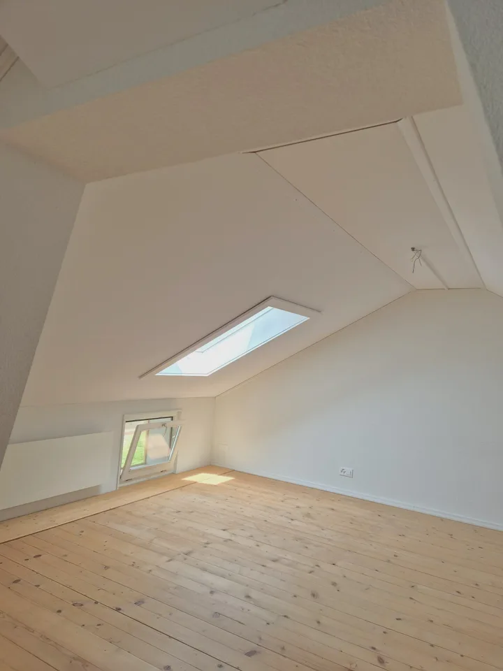 grosse 110m2 Loft-Wohnung in ehemaliger Schreinerei