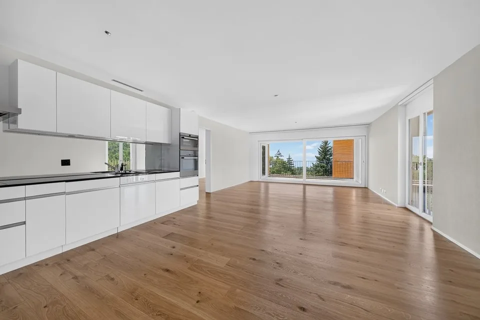 Superbo appartamento con terrazza e vista lago mozzafiato