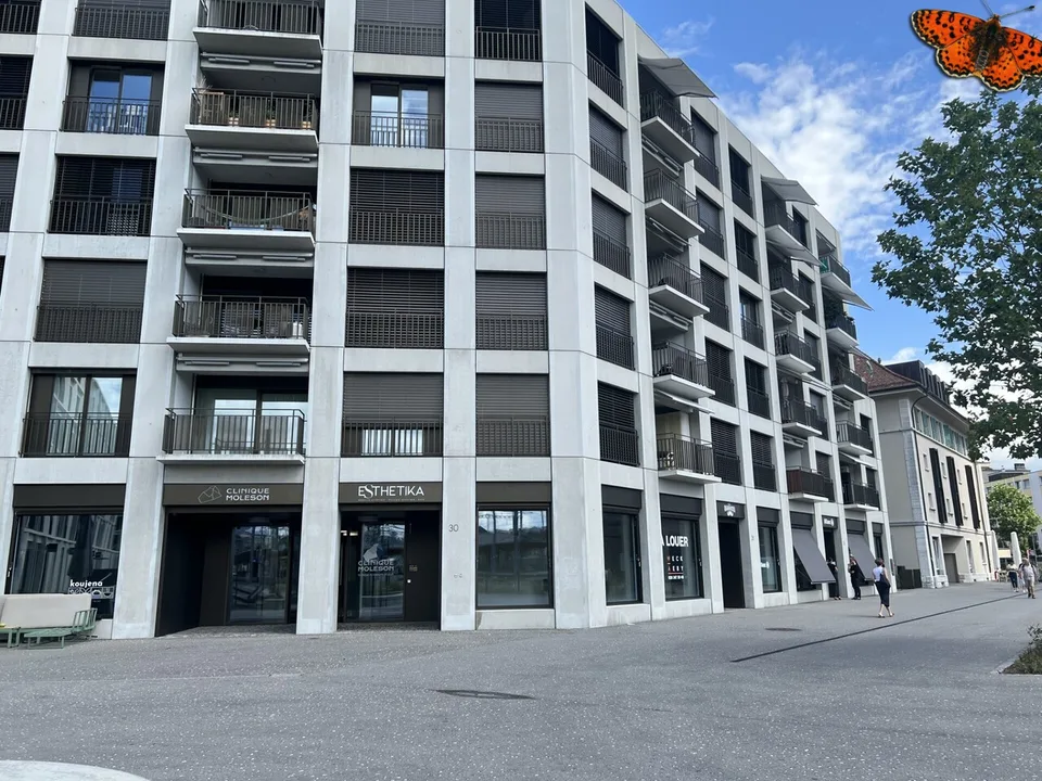 ANGENEHME 2 ½ ZIMMER IN DER INNENSTADT VON BULLE - MOBILIERT