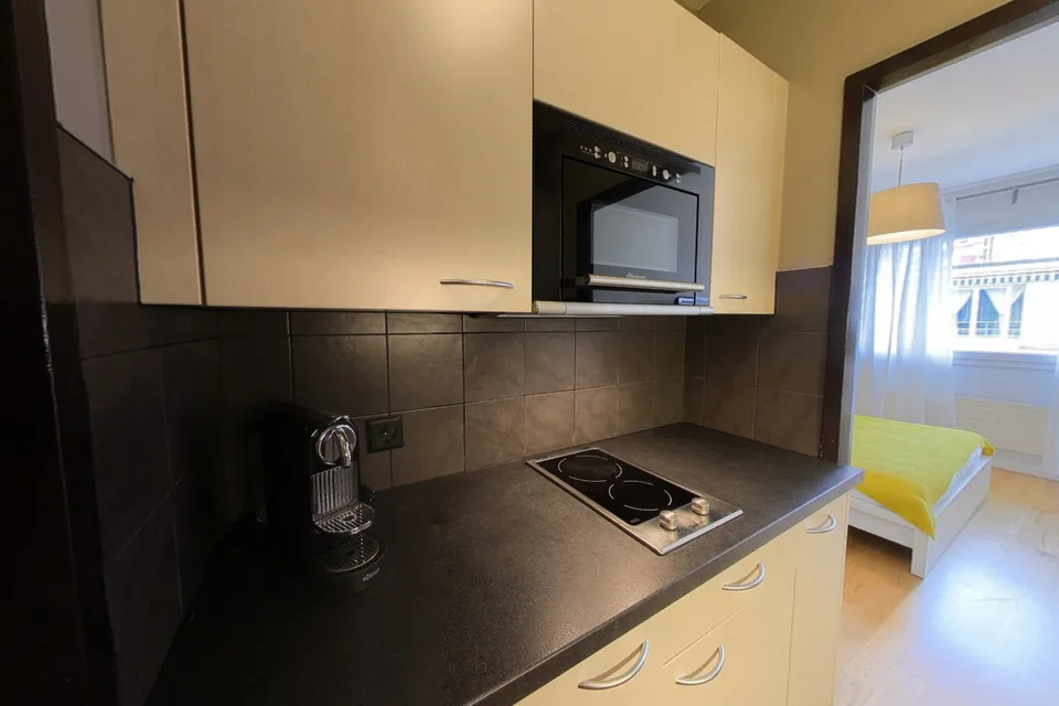 Modern Fully Furnished Studio near University of Geneva & HUG - Plainpalais, Geneva