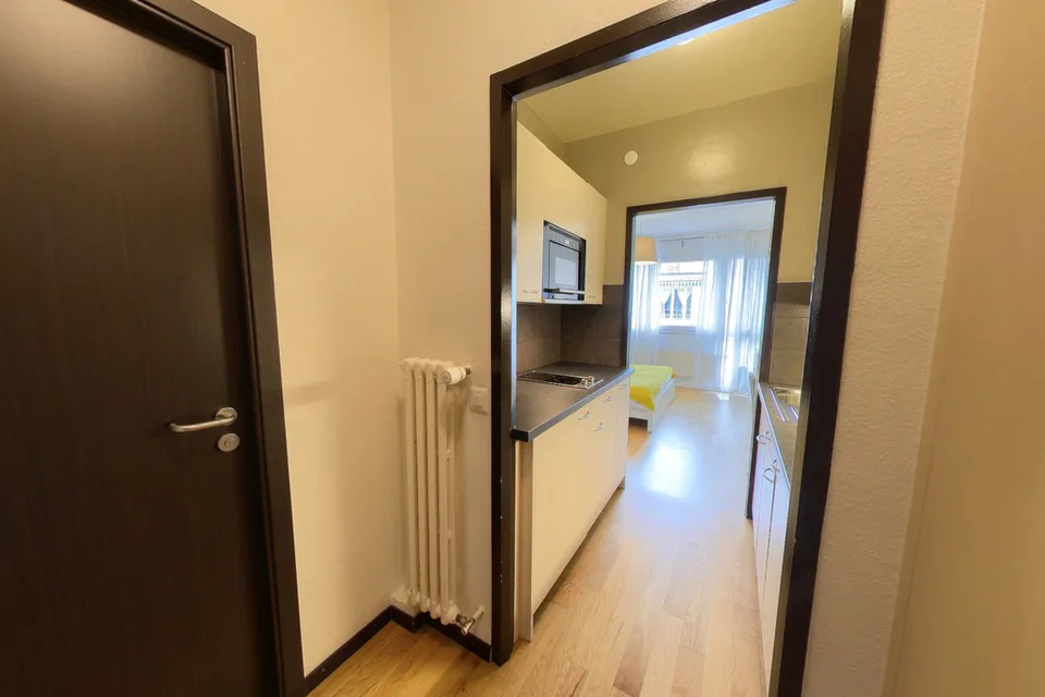 Modern Fully Furnished Studio near University of Geneva & HUG - Plainpalais, Geneva