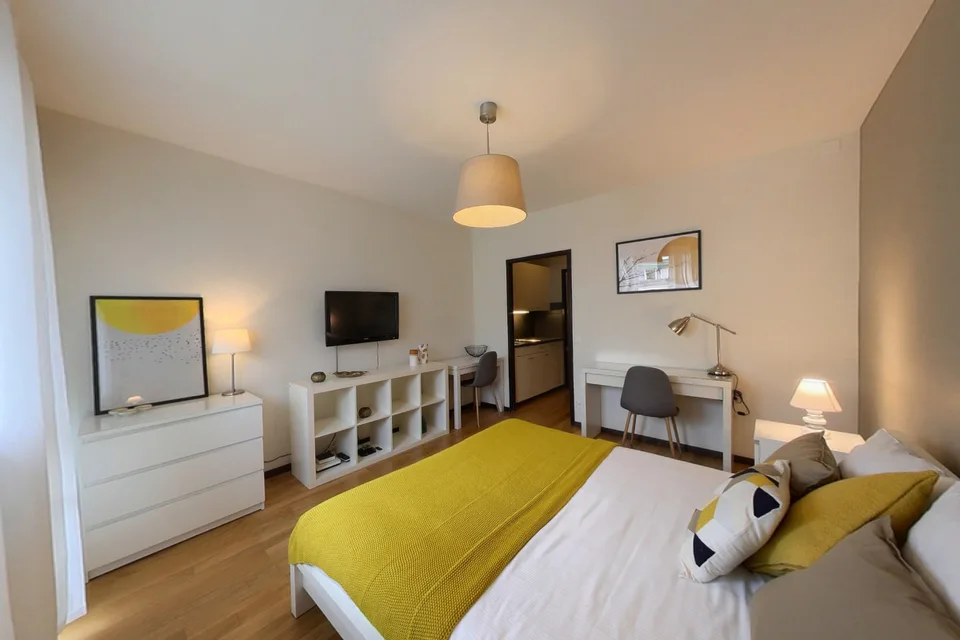 Modern Fully Furnished Studio near University of Geneva & HUG - Plainpalais, Geneva