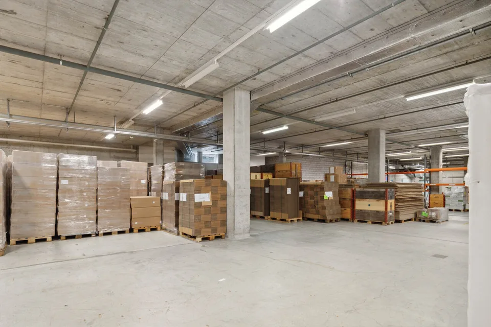 Mammut Areal Seon - Proprietà commerciale per industria, logistica e ufficio – foto 10 di 13