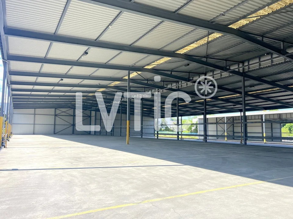 Hallen für Lagerung von 12'000 m2, aufteilbar ab 1000 m2, zu vermieten in St Prex
