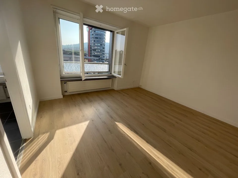 Renovated studio with panoramic view