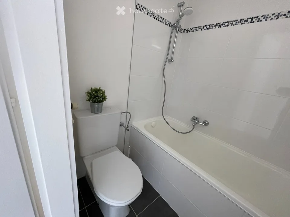 Renovated studio with panoramic view