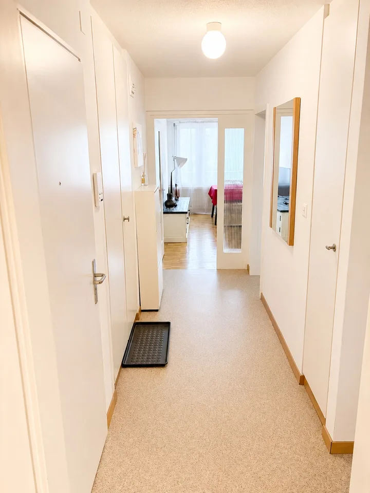 2,5-Zimmer voll möblierte Wohnung in Dübendorf – Zone 121