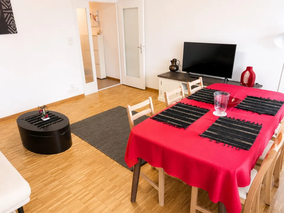 2,5-Zimmer voll möblierte Wohnung in Dübendorf – Zone 121