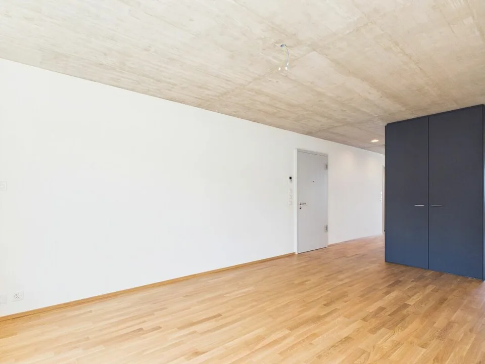 Premier occupation dans un immeuble moderne - habitat de haute qualité au cœur de Bâle