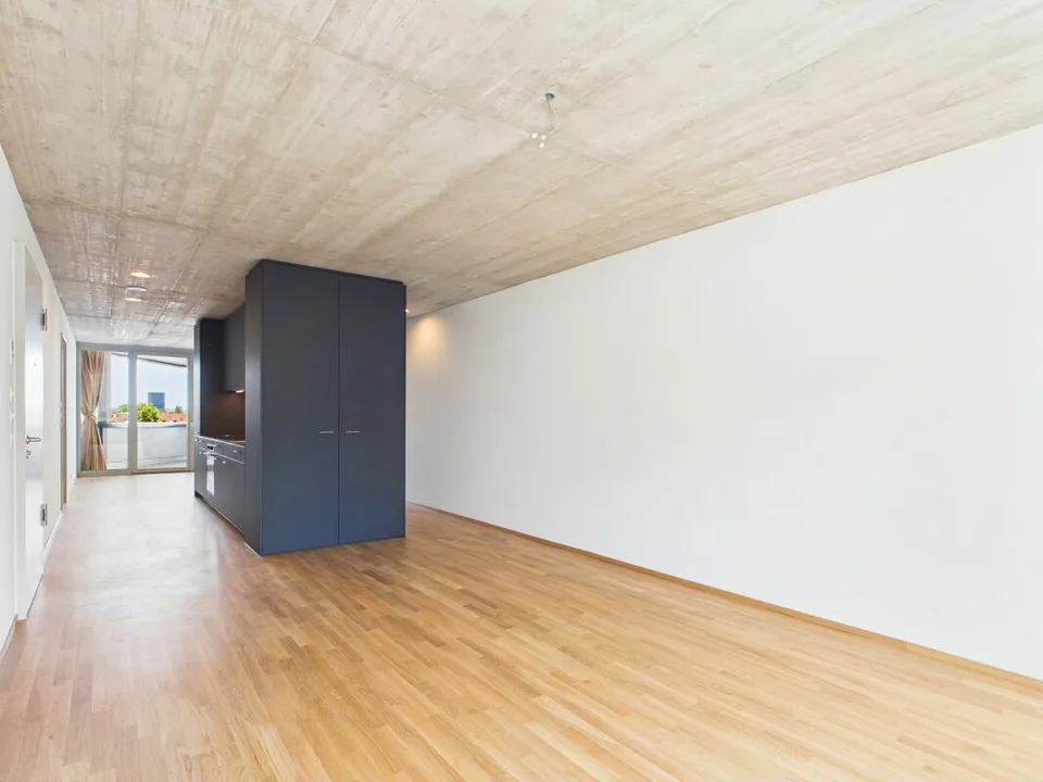 Premier occupation dans un immeuble moderne - habitat de haute qualité au cœur de Bâle