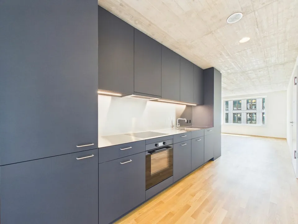 Premier occupation dans un immeuble moderne - habitat de haute qualité au cœur de Bâle