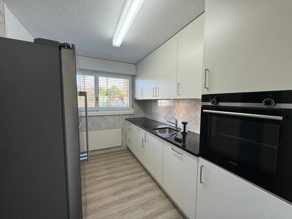 Appartement rénové récemment, tour de lavage privée